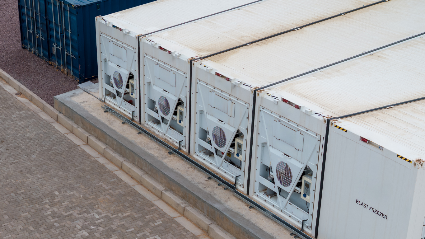 How Refrigerated Containers Support the Cold Chain in Agriculture and Food Distribution